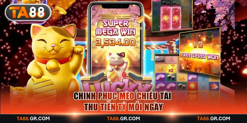 Chinh phục Mèo Chiêu Tài thu tiền tỷ mỗi ngày